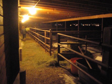 McK on the Farm
