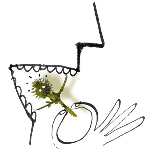 Thistle