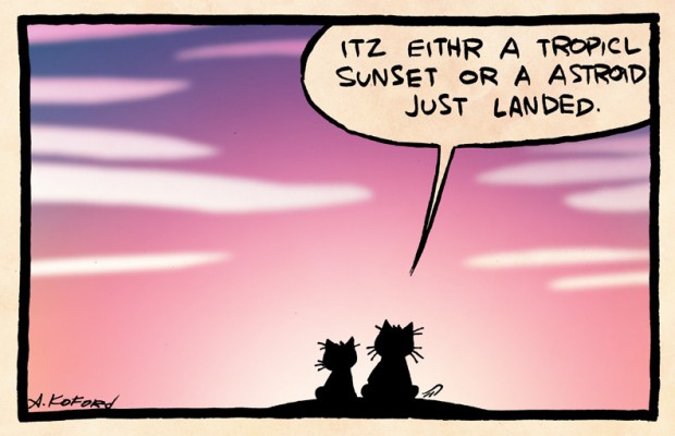 Two lolcats watch the sunset.